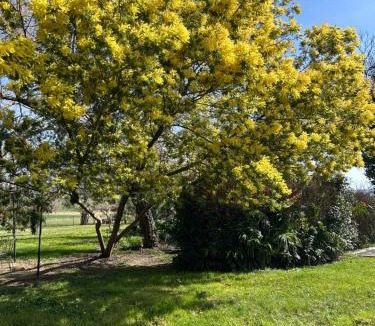 Marciac Villa | Maison Dream in Marciac