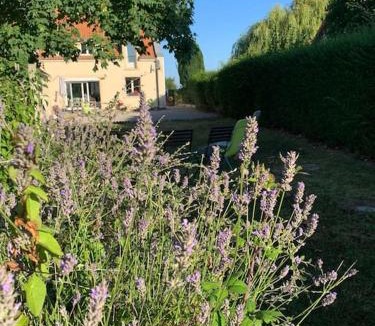 Audinghen House | Maison du Cap - Audinghen - 10 personnes, jardin clôturé, plages