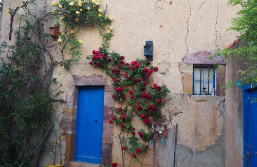 Saint-Chinian Bed & Breakfast | Maison du Parc