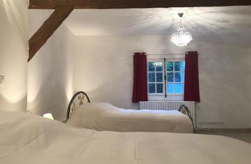 Boissise-le-Roi House | Maison en bord de seine