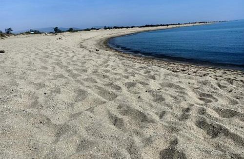 Torreilles-Plage House | Maison en bord de plage avec parking et 2 chambres | Torreilles - FR-1-732-79