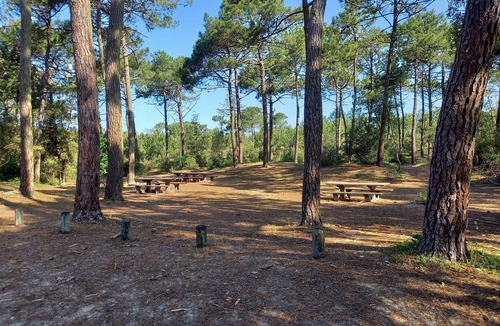 Notre-Dame-de-Monts House | Maison en Lisière de Forêt