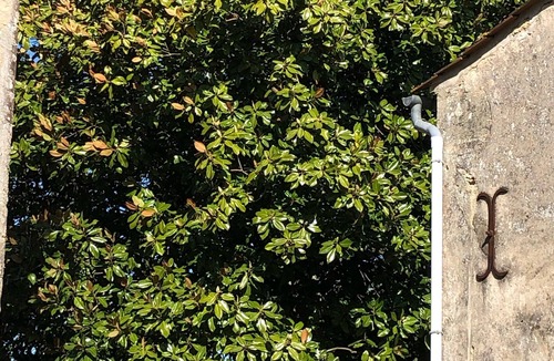 Doulezon House | Maison en pierre proche de Saint Emilion