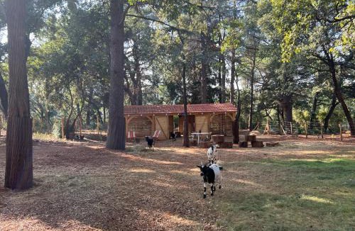 Hyeres House | Maison en pierre rénovée avec jardin et piscine privative chauffée