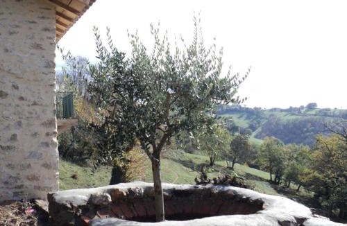Firmi House | Maison En Pierres Proche Agnac