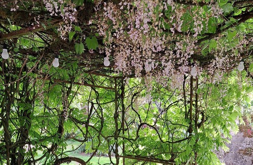 Cours House | Maison Familiale