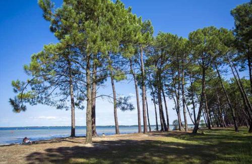 Parentis-en-Born House | Maison familiale, 15 pers., jardin privé, proche centre et lac, à 25 min de l'océan - FR-1-319-472