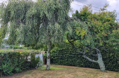 Plaintel House | Maison Familiale Pets welcome