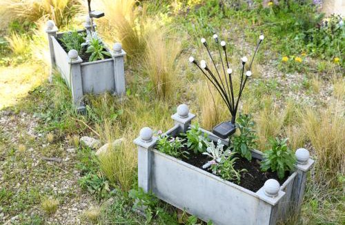 Saint-Genix-sur-Guiers Bed & Breakfast | Maison Fleur De Frangipanier