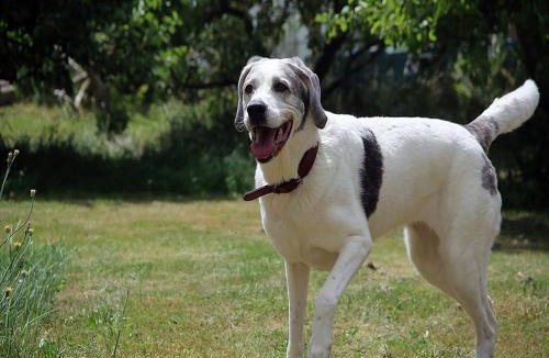 Betschdorf Apartment | Maison Fleurie