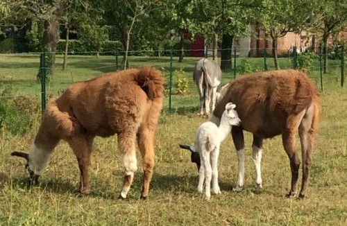 Courcelles-sous-Moyencourt House | Maison de l'horloge
