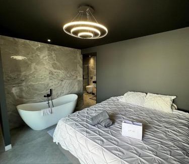 Saint-Hilaire-de-Brethmas Villa | Maison Moderne piscine chauffée