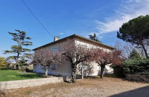 Gaillac House | Maison Gaillacoise