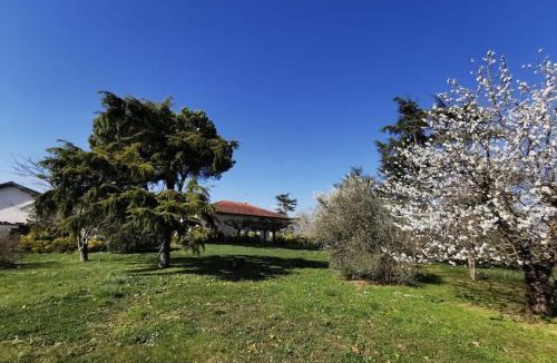 Gaillac House | Maison Gaillacoise