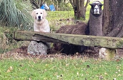 Pontchardon House | Maison individuelle dans un parc