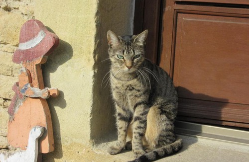 Villeneuve-les-Montreal House | Maison Iris