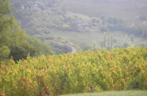 Valady House | maison isolée dans les vignes et les bois