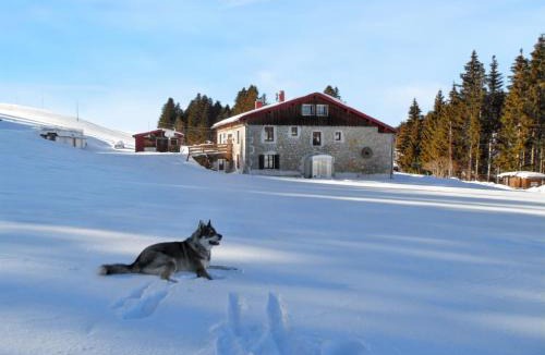 Septmoncel House | Maison isolée et calme à Septmoncel avec vue sur montagne