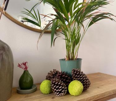Saint-Serge Villa | Maison Jardin - Centre Angers