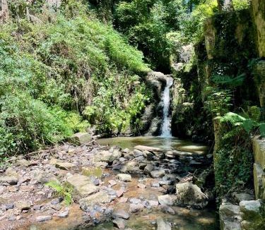 Marcey-les-Greves House | Maison-jardin-MontSaintMichel-Idéal pro et familles