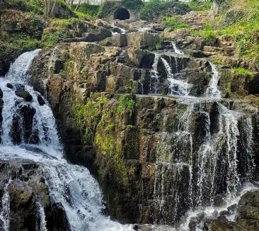 Marcey-les-Greves House | Maison-jardin-MontSaintMichel-Idéal pro et familles