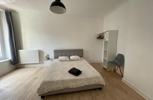 Centre ville - Urbanistes Apartment | Maison Jules-Ferry