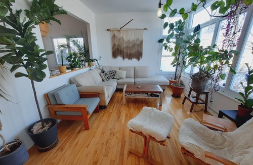 Plateau House | Maison - La forêt chez soi
