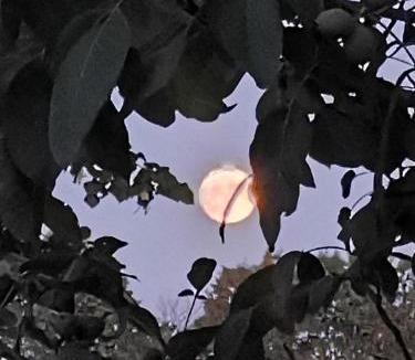 Nere Apartment | Maison la tour