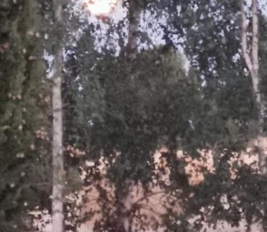 Nere Apartment | Maison la tour