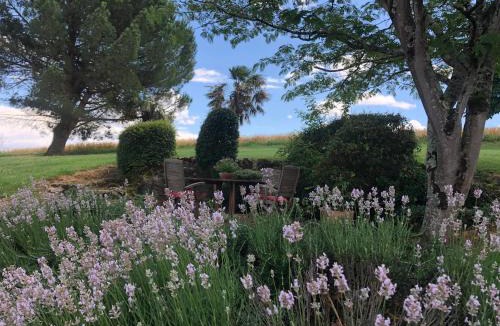 Flamarens Bed & Breakfast | Maison Lamothe