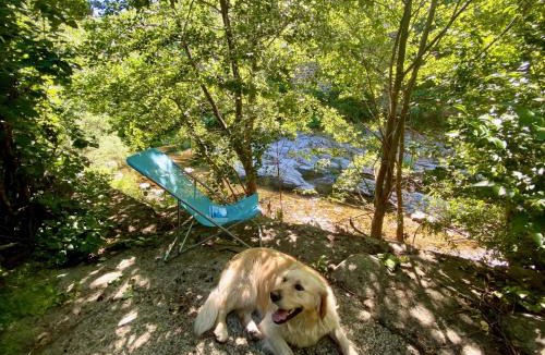 Villefort House | Maison les pieds dans l'eau