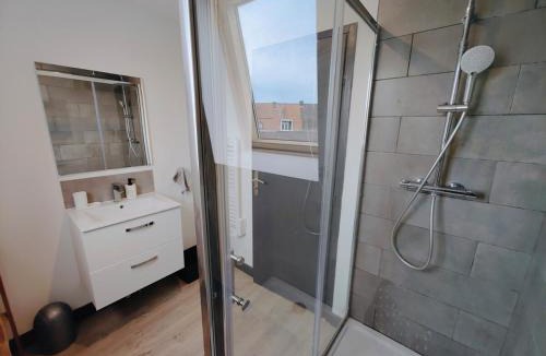 Roubaix House | Maison Lilloise 6 people heart of Roubaix