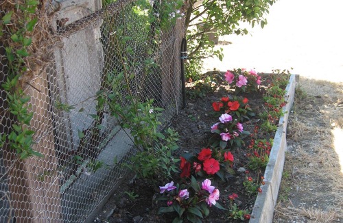 Marennes House | Maison Marennes Oleron