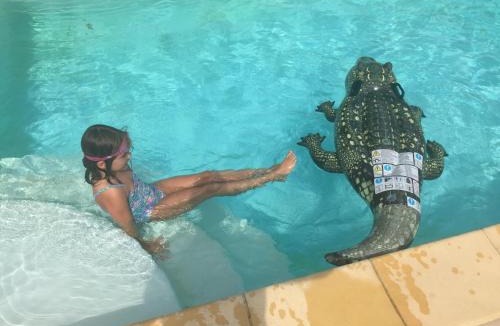 Agel House | Maison Minervois