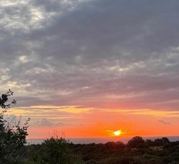 San-Giuliano Villa | Maison Murato