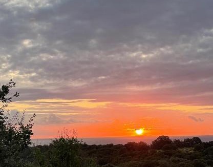 San-Giuliano Villa | Maison Murato