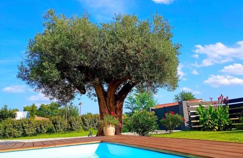 Morcenx Villa | Maison neuve et chaleureuse