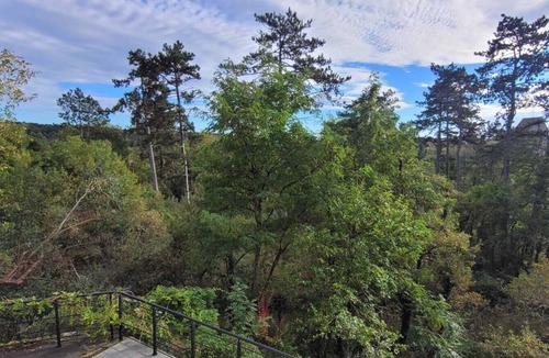 Nanteau-sur-Essonne House | Maison nichée au cœur de la nature, dans le parc naturel régional du gâtinais.