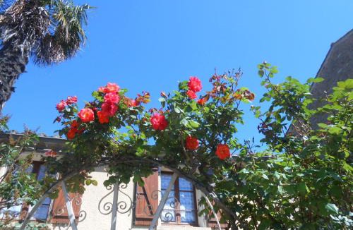 Coustaussa House | Maison Palmeral