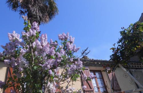 Coustaussa House | Maison Palmeral