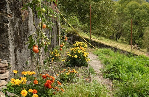 Melles House | Maison Pays de l'ours - Pyrenees