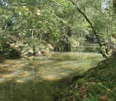 Uhart-Mixe House | Maison Picatzia - Pays Basque