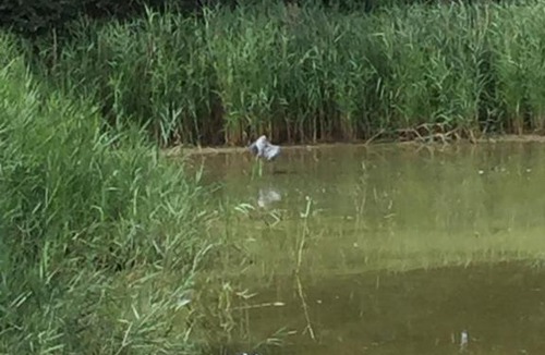 Wimille Bed & Breakfast | Maison priveé