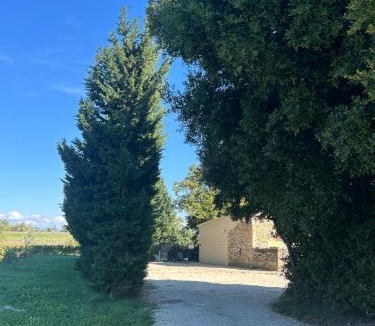 Codolet House | Maison provençale proche du lac