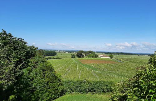 Montagne House | Maison Rouge