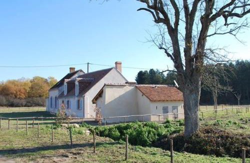 Jouy-le-Potier House | Maison solognote calme et boisée, proche châteaux Loire, golf, vélos, ping-pong - FR-1-590-34