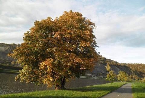 Givet House | Maison standing vacances professionnel