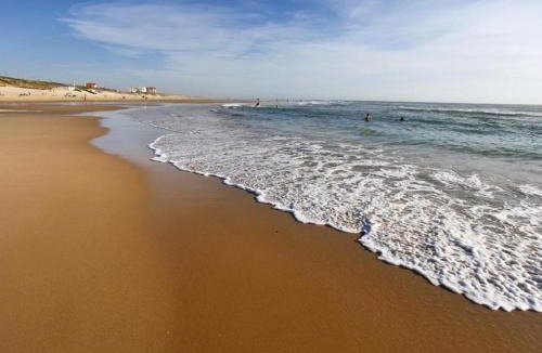 Biscarrosse Plage House | Maison T2 cabine à Biscarrosse Plage, proche des commerces et de la mer - FR-1-521-90
