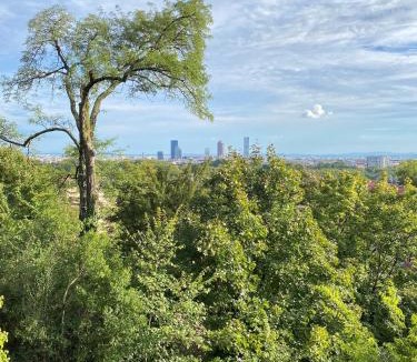 Saint Clair Villa | Maison T4 Caluire à proximité du centre de Lyon