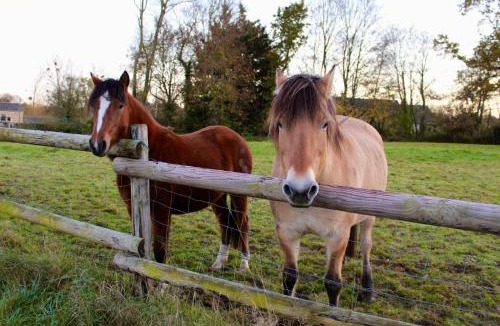 Longrayez Other | Maison Thalène - La Bulle
